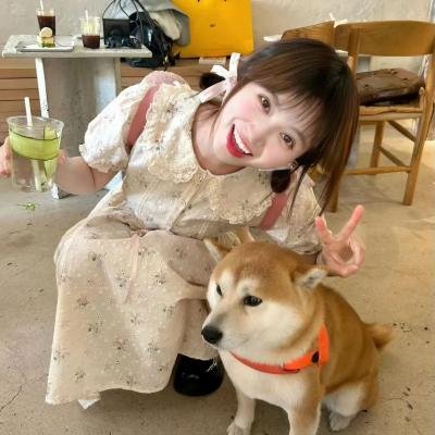 天降神犬2