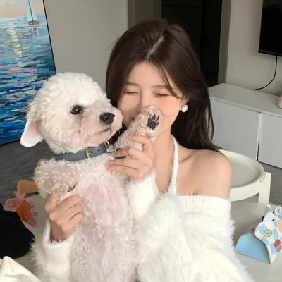 动物园先生