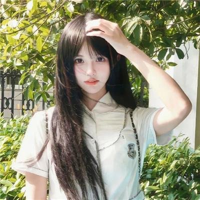 香椿