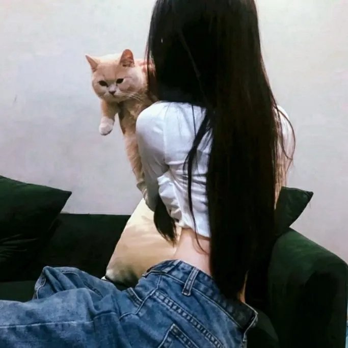 火之鸟772
