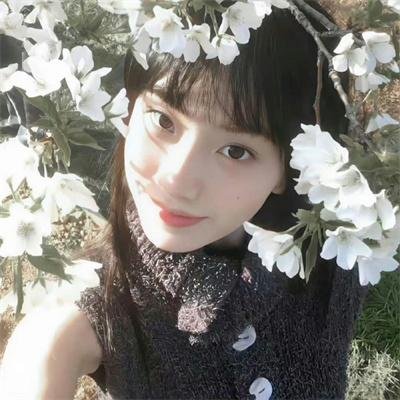 红楼梦第二部
